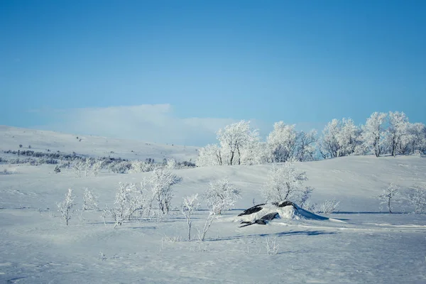 Un hermoso paisaje blanco de un nevado día de invierno noruego —  Fotos de Stock