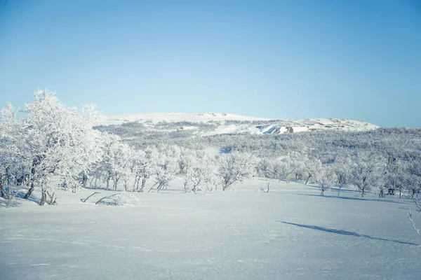 알파인 노르웨이 겨울 날의 아름 다운 하얀 풍경 — 스톡 사진