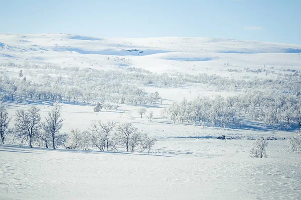 Snowy Norveç kış günü güzel bir beyaz manzara