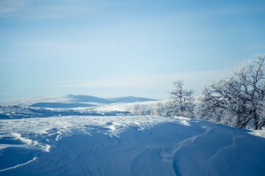Snowy Norveç kış günü güzel bir beyaz manzara