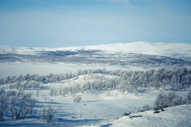 Snowy Norveç kış günü güzel bir beyaz manzara