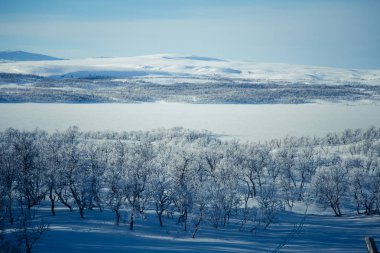 Snowy Norveç kış günü güzel bir beyaz manzara