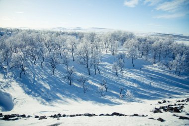 Snowy Norveç kış günü güzel bir beyaz manzara