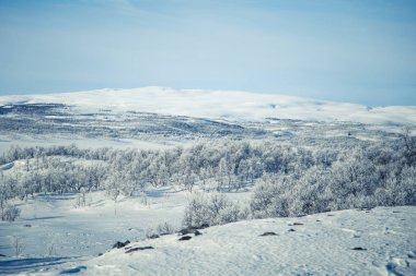 Snowy Norveç kış günü güzel bir beyaz manzara