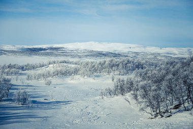Snowy Norveç kış günü güzel bir beyaz manzara