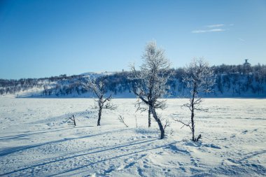 Snowy Norveç kış günü güzel bir beyaz manzara