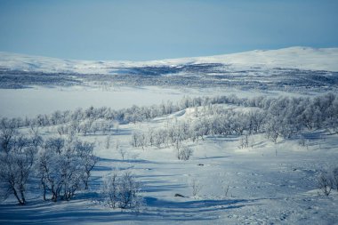 Snowy Norveç kış günü güzel bir beyaz manzara