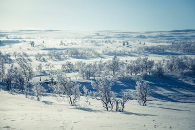 Snowy Norveç kış günü güzel bir beyaz manzara