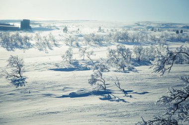 Snowy Norveç kış günü güzel bir beyaz manzara