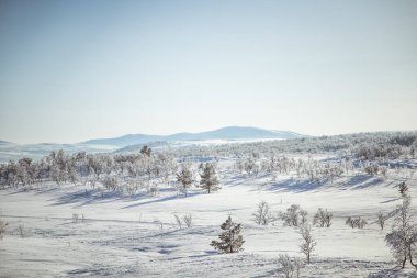 Snowy Norveç kış günü güzel bir beyaz manzara