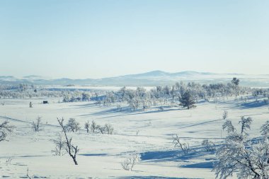 Snowy Norveç kış günü güzel bir beyaz manzara