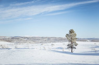 Snowy Norveç kış günü güzel bir beyaz manzara