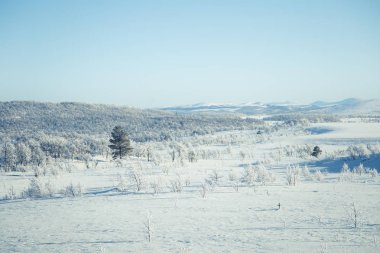 Snowy Norveç kış günü güzel bir beyaz manzara