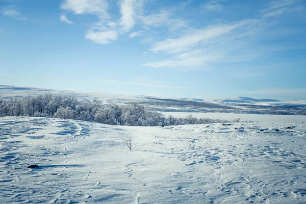 Snowy Norveç kış günü güzel bir beyaz manzara