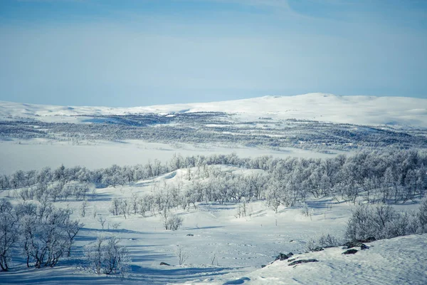 Snowy Norveç kış günü güzel bir beyaz manzara