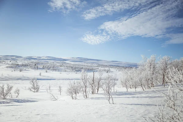 Snowy Norveç kış günü güzel bir beyaz manzara