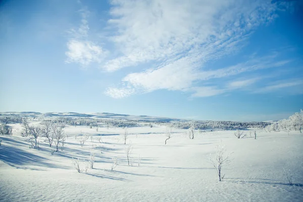 Un hermoso paisaje blanco de un nevado día de invierno noruego —  Fotos de Stock