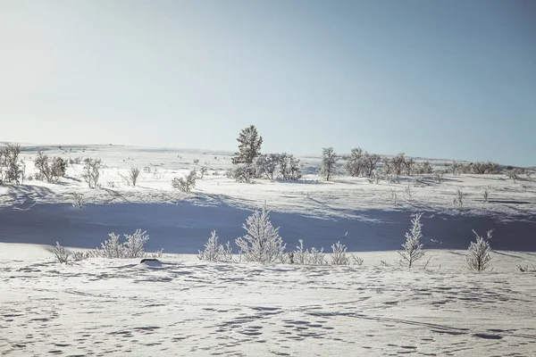 Un beau paysage blanc d'une journée d'hiver norvégienne enneigée — Photo