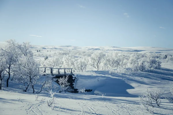 Un hermoso paisaje blanco de un nevado día de invierno noruego con un pequeño puente de pie de madera — Foto de Stock