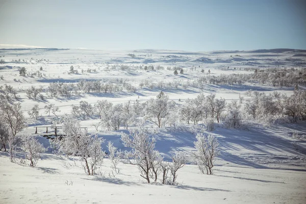 Un beau paysage blanc d'une journée d'hiver norvégienne enneigée avec un petit pont à pied en bois — Photo