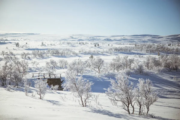 Piękny krajobraz biały dzień śnieżnej zimie norweski z małych stóp drewniany most — Zdjęcie stockowe