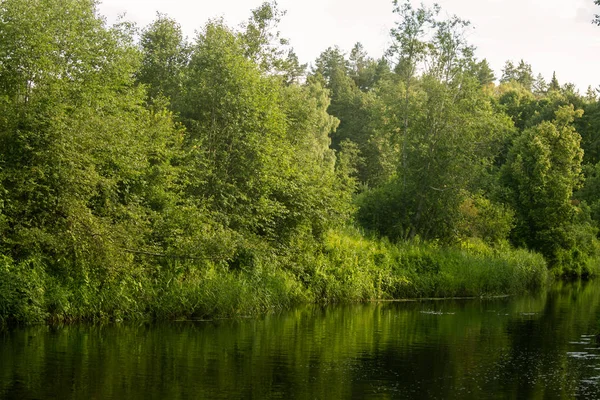 Bir riverside bir güzel, rahatlatıcı yaz manzara. Canlı kırsal manzara.