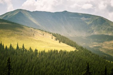 Karpat Dağları'nda bir güzel dağ manzarası