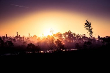 Bir bataklık Sunrise sonbaharın güzel, renkli, sanatsal peyzaj.