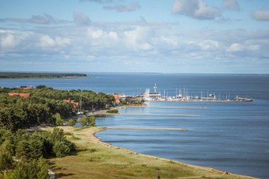 Bir güzel kumulları bir Neringa Milli Parkı'nda. Seyahat fotoğraf