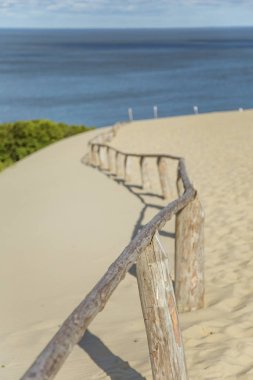 Bir güzel kumulları bir Neringa Milli Parkı'nda. Seyahat fotoğraf