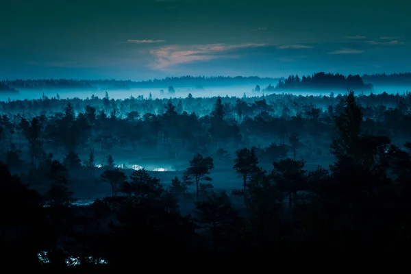 Uma paisagem bonita, colorida e artística de um pântano ao nascer do sol no outono . — Fotografia de Stock