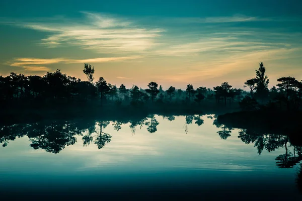 Un hermoso, colorido, paisaje artístico de un pantano al amanecer en otoño . — Foto de Stock