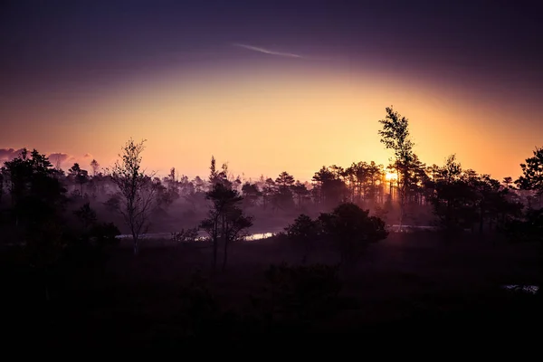 Een mooie, kleurrijke, artistieke landschap van een moeras in de zonsopgang in de herfst. — Stockfoto