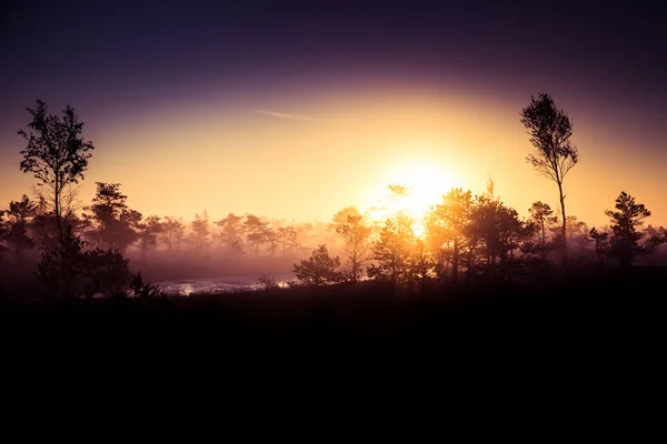 शरद ऋतूमध्ये सूर्योदयाच्या वेळी एक सुंदर, रंगीत, कलात्मक लँडस्केप . — स्टॉक फोटो, इमेज