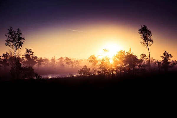 Uma paisagem bonita, colorida e artística de um pântano ao nascer do sol no outono . — Fotografia de Stock