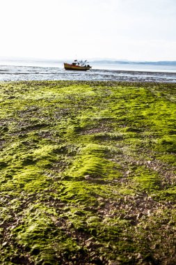 Morecambe Sahil güzel bir görünümü
