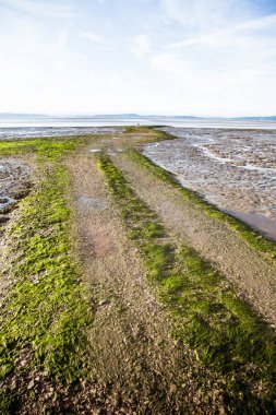 Morecambe Sahil güzel bir görünümü