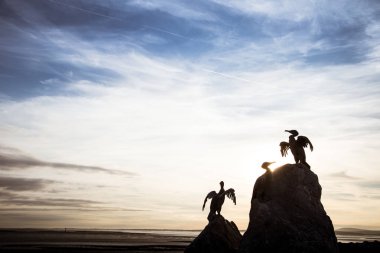 Morecambe kıyısında güzel bir kuş heykeller