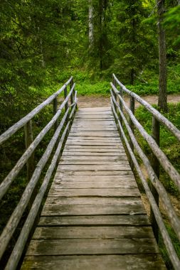 Bir güzel asma köprü Finlandiya'da orman