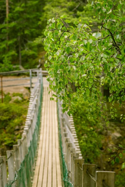 핀란드의 숲에서 아름 다운 행 잉 브리지 — 스톡 사진