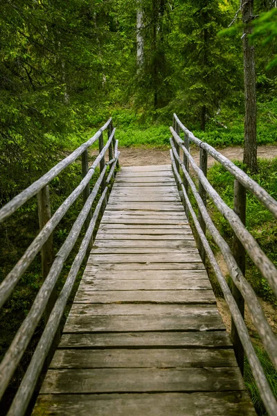 Bir güzel asma köprü Finlandiya'da orman