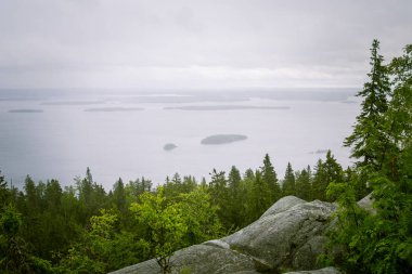 Göl ve orman Koli Milli Parkı zirveleri üzerinden güzel bir Panoraması