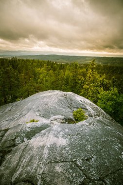 Göl ve orman Koli Milli Parkı zirveleri üzerinden güzel bir Panoraması