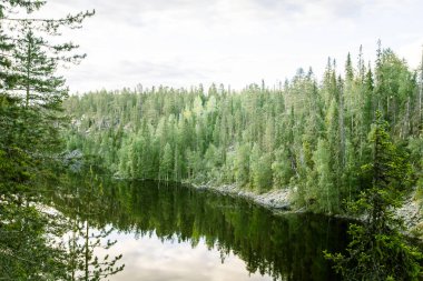 Finlandiya'da bir güzel göl manzara