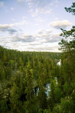 Finlandiya'da bir güzel göl manzara