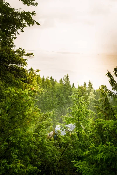 Göl ve orman Koli Milli Parkı zirveleri üzerinden güzel bir Panoraması