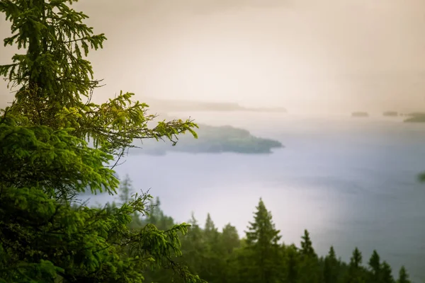 Piękna panorama jeziora i lasu z Koli National park szczyty — Zdjęcie stockowe