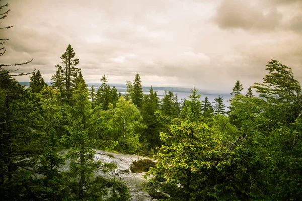 Göl ve orman Koli Milli Parkı zirveleri üzerinden güzel bir Panoraması