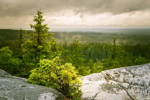 Göl ve orman Koli Milli Parkı zirveleri üzerinden güzel bir Panoraması