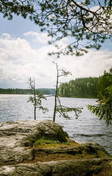Finlandiya'da bir güzel göl manzara